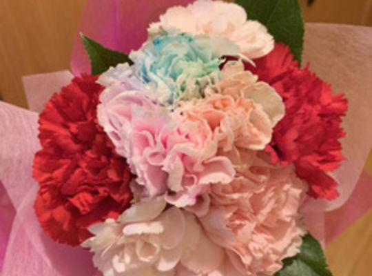 カーネーションの花束