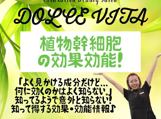 福岡市早良区野芥のエステサロンドルチェヴィータ★植物幹細胞の効果とは？ハーブピーリングフェイシャルがおすすめ！