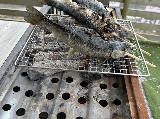 福岡市早良区野芥のエステサロンドルチェヴィータ★家族でお出かけ穴場スポット！