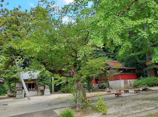 福岡市早良区野芥のエステサロンドルチェヴィータ★毎月恒例の御礼参りは氏神様へ