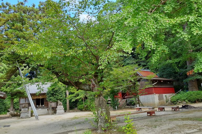 福岡市早良区野芥のエステサロンドルチェヴィータ★毎月恒例の御礼参りは氏神様へ