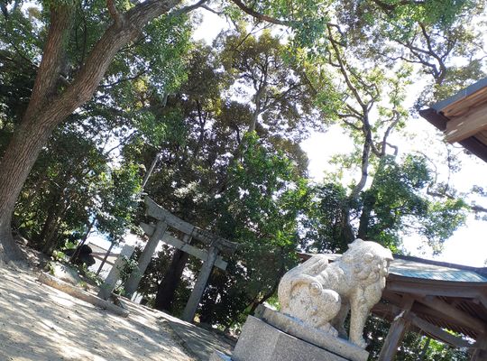 福岡市早良区野芥のエステサロンドルチェヴィータ★強運日！神様からの幸せのシャワー