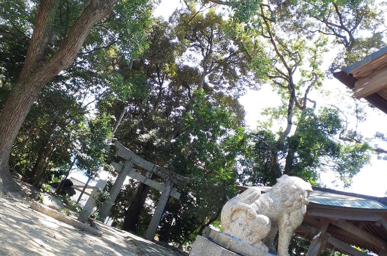 福岡市早良区野芥のエステサロンドルチェヴィータ★強運日！神様からの幸せのシャワー