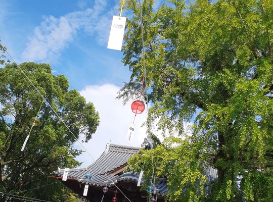 福岡市早良区野芥のエステサロンドルチェヴィータ★八女市福島八幡宮切り絵の御朱印