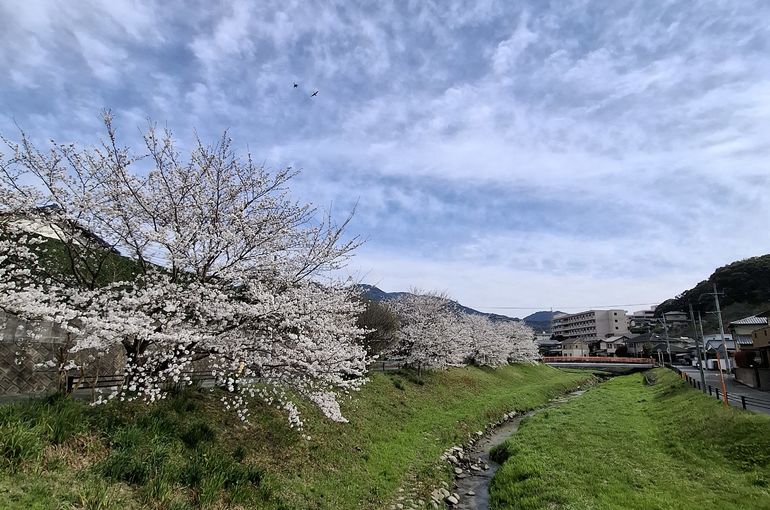 福岡市早良区ドルチェヴィータ★2025年4月のお知らせ