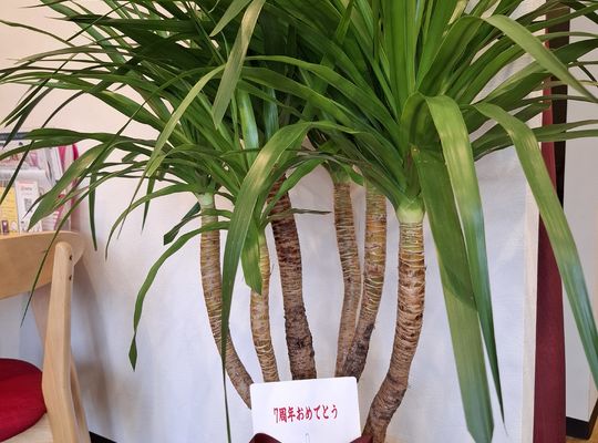 福岡市早良区ドルチェヴィータ★7周年のお祝いをありがとうございます！