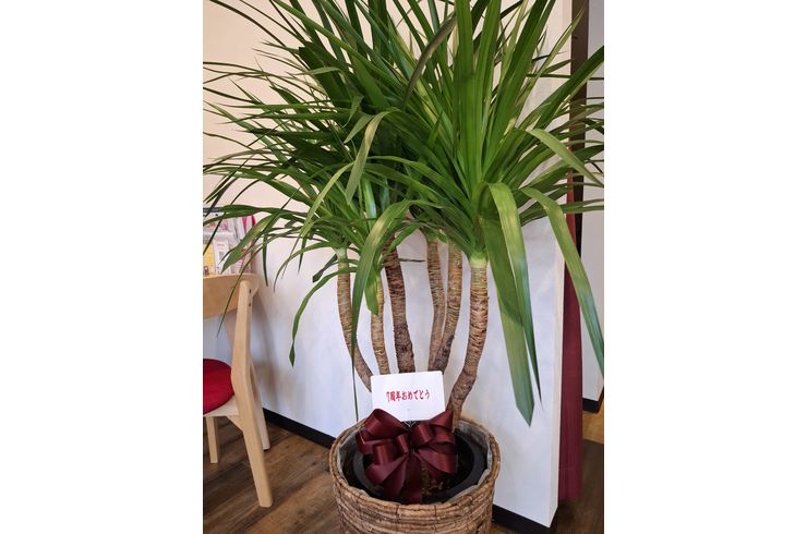 福岡市早良区ドルチェヴィータ★7周年のお祝いをありがとうございます！