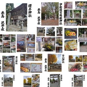 福岡市早良区ドルチェヴィータ★糸島花手水