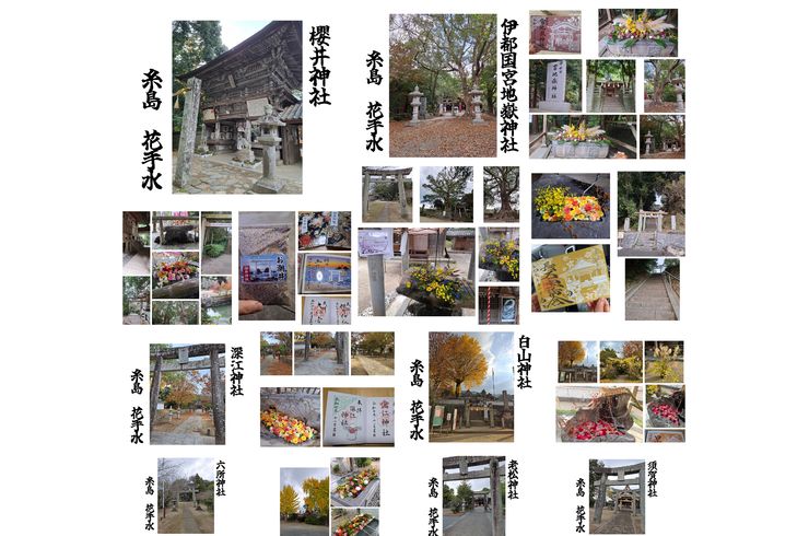 福岡市早良区ドルチェヴィータ★糸島花手水