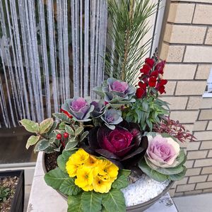 福岡市早良区ドルチェヴィータ★クリスマスプレゼントありがとう！