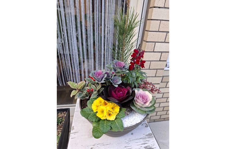 福岡市早良区ドルチェヴィータ★クリスマスプレゼントありがとう！