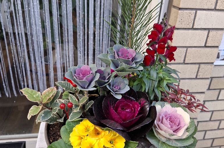 福岡市早良区ドルチェヴィータ★クリスマスプレゼントありがとう！