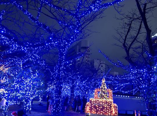 福岡市早良区ドルチェヴィータ★クリスマスマーケットin福岡中央公園