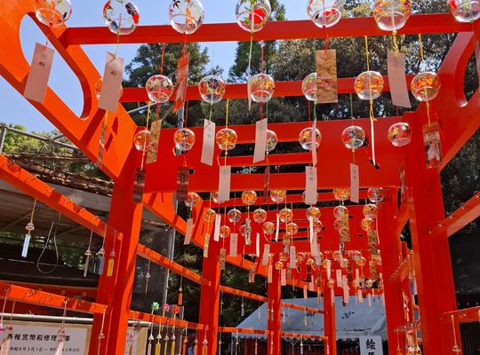 福岡市早良区【エステ】ドルチェヴィータ★神社でのスピリチュアルサイン☆香椎宮