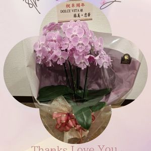 福岡市早良区【エステ】ドルチェヴィータ★8周年ご縁に感謝