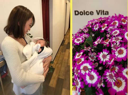 赤ちゃん・満開のピンクのお花