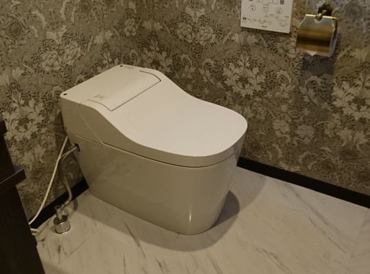 ラグジュアリーなドルチェヴィータのトイレ